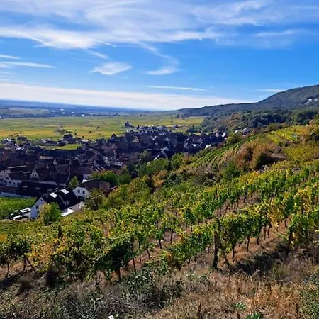 Entre Vignes Et Vergers Gite Parenthese Gueberschwihr Exterior photo