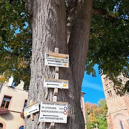 Entre Vignes Et Vergers Gite Parenthese Gueberschwihr Exterior photo