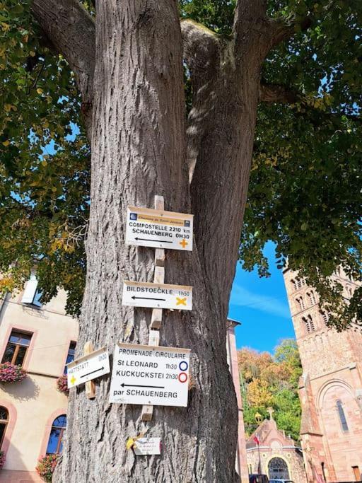 Appartement Entre Vignes Et Vergers Parenthese Gueberschwihr